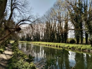 New project will explore the benefit of nature on our wellbeing