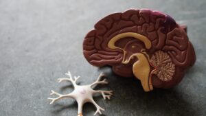 Global dementia cases could triple by 2050