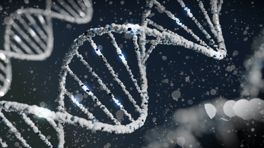 Gene linked to severe learning disabilities governs cell stress response