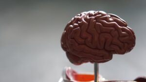 Size of air pollution particles affects risk of death from stroke