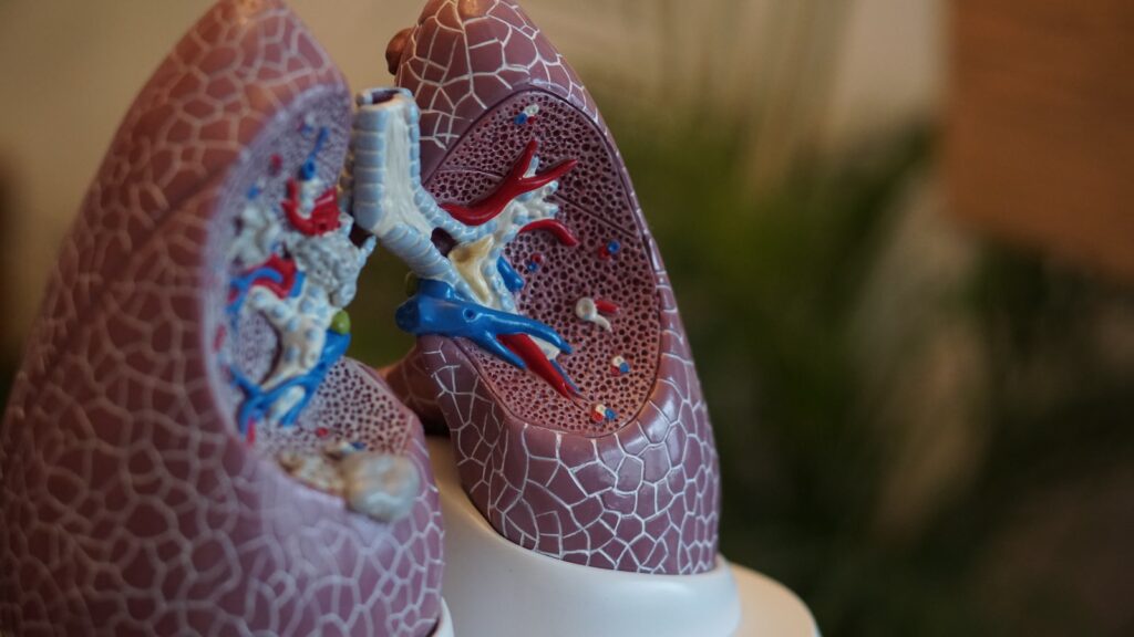 Long term air pollution exposure leads to a weak immune system