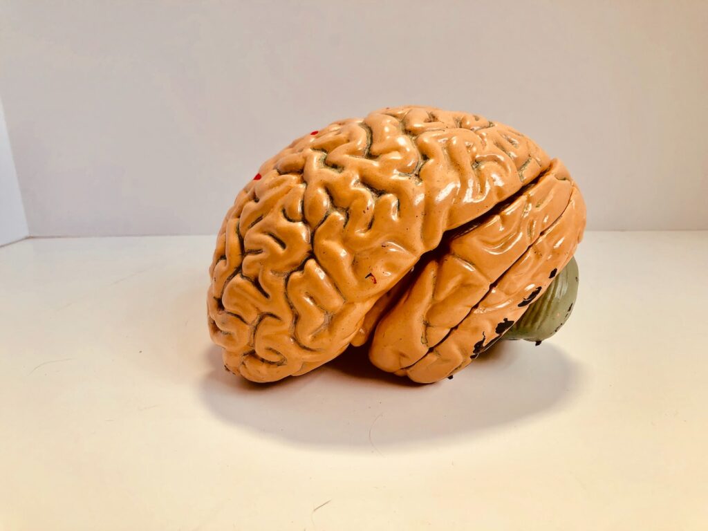 Scientists developed vaccine to combat brain cancer