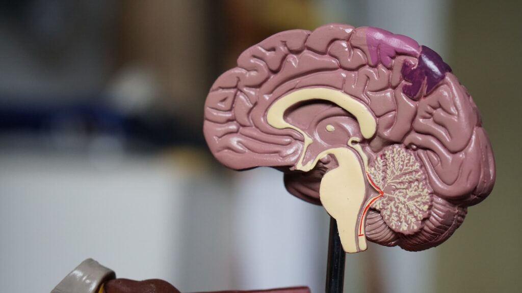 Leeds brain injury centre re-designed to improve patient accessibility
