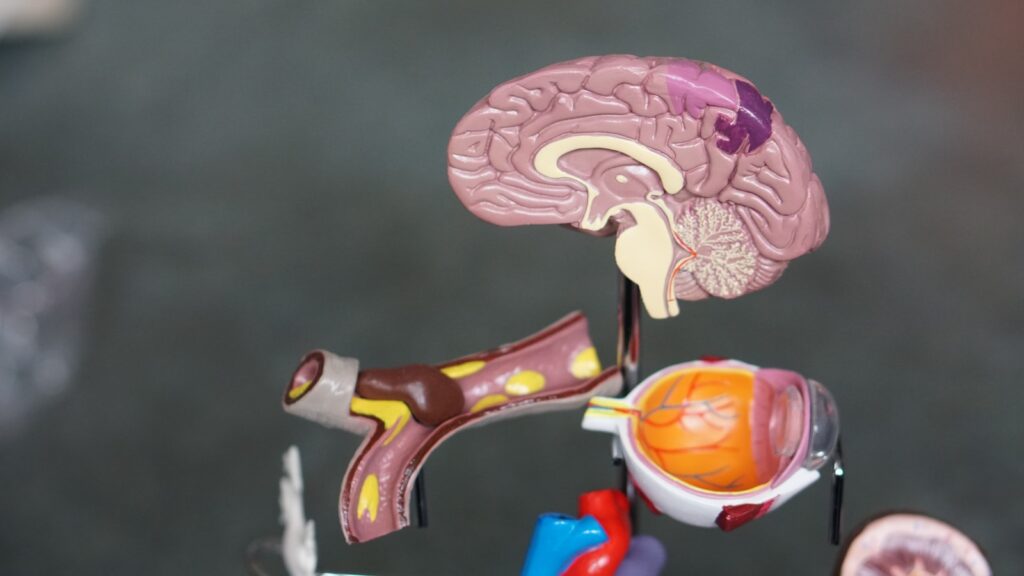 Innovators working on projects to transform living with dementia awarded over £1m