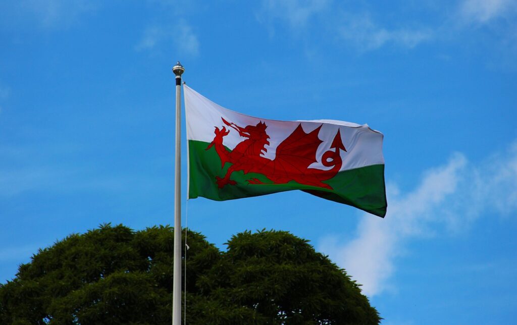 Welsh government announces £8m to support people outside hospital