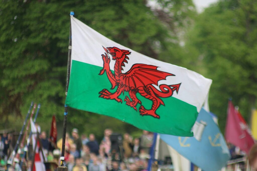 Welsh government funds technology projects to transform domiciliary care delivery
